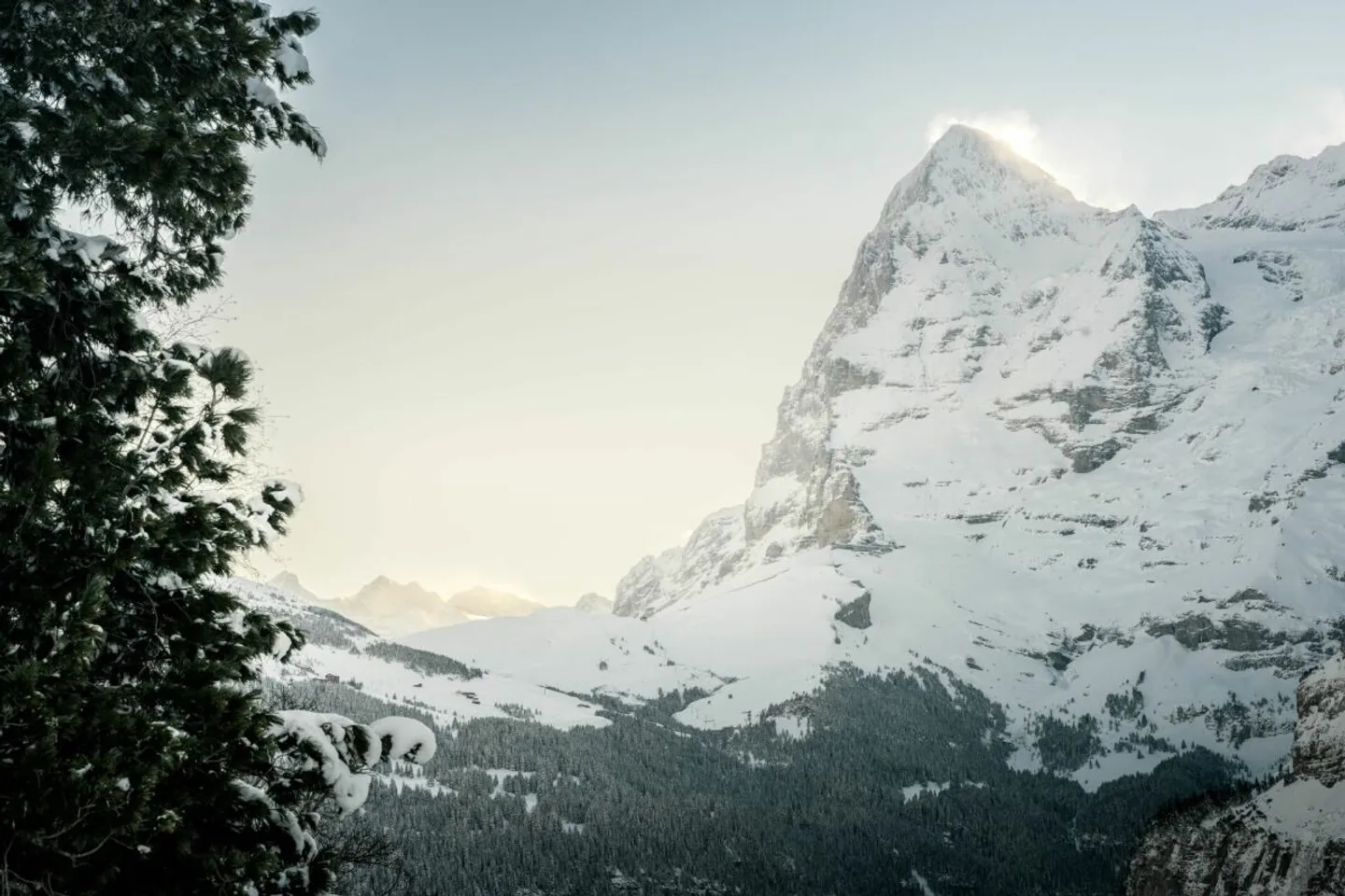 Appartement 3 pièces avec espace extérieur à la Maison Murmeli, Mürren - Photo 9 sur 12