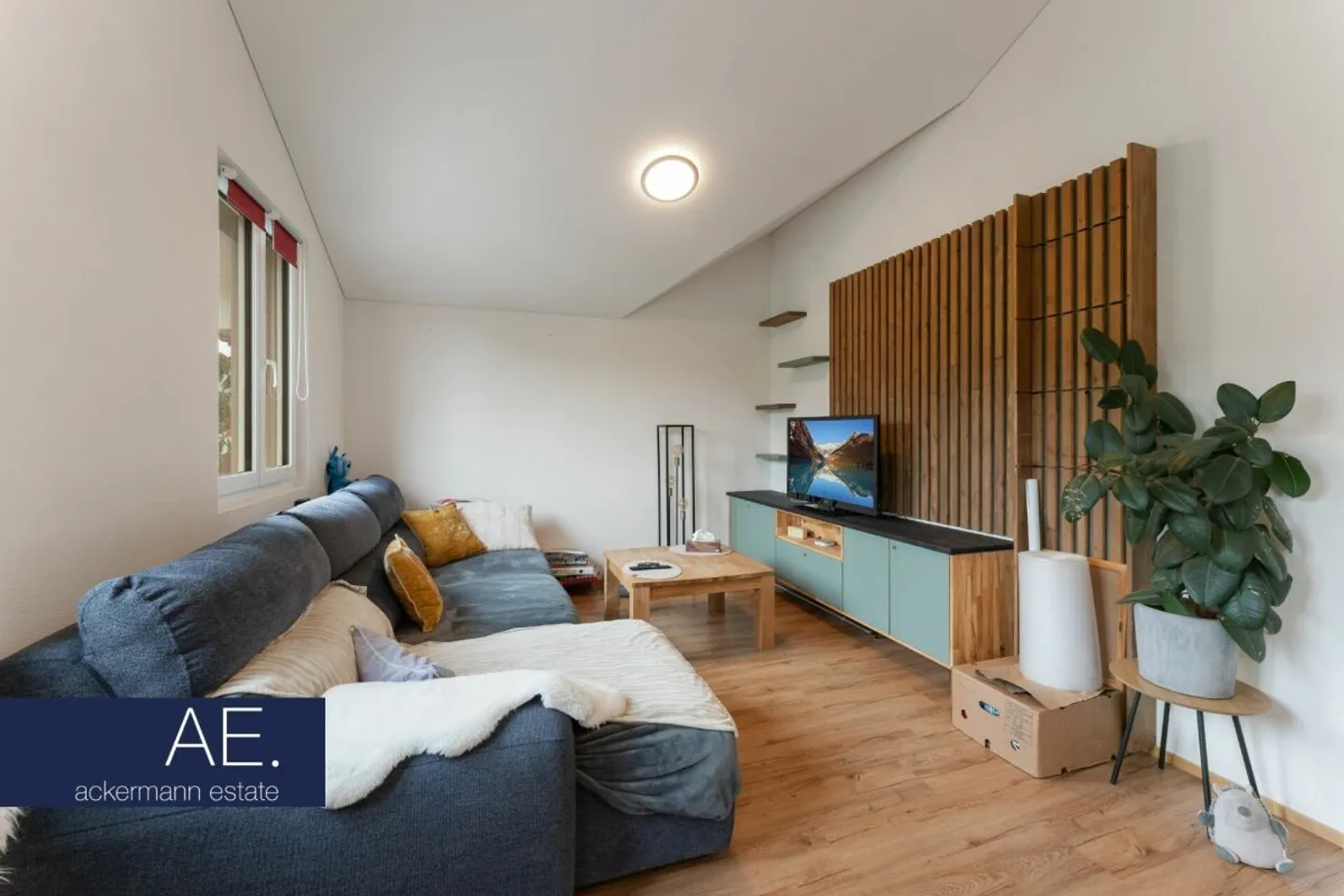 Maison multi-familiale rénovée - Photo 3 sur 6
