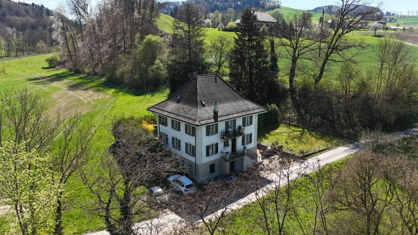 Beautiful Master House in Agricultural Zone - Photo 3 of 13