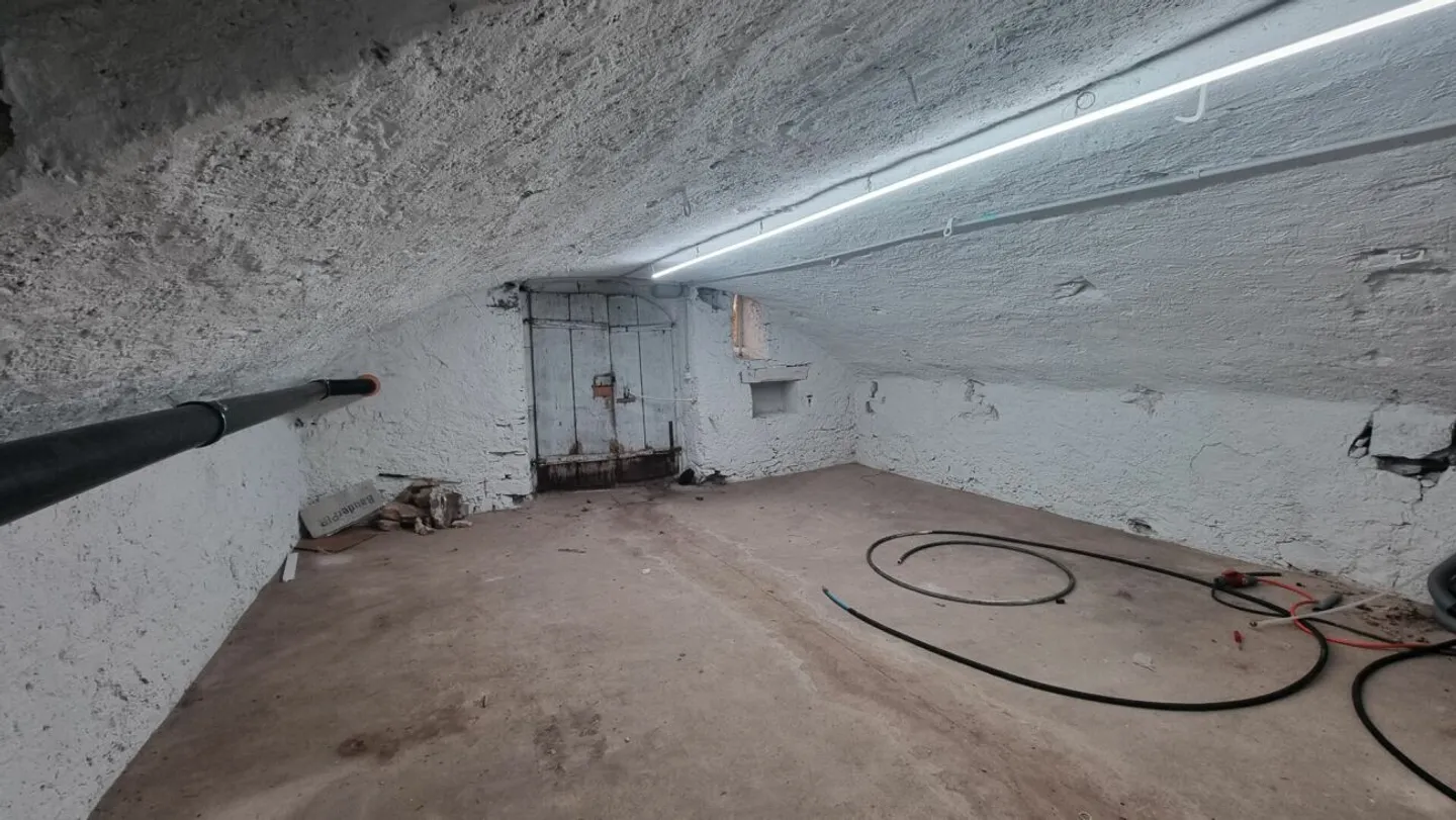 Completely renovated 5.5 room apartment with private entrance, winter garden and vaulted cellar - Photo 9 of 13