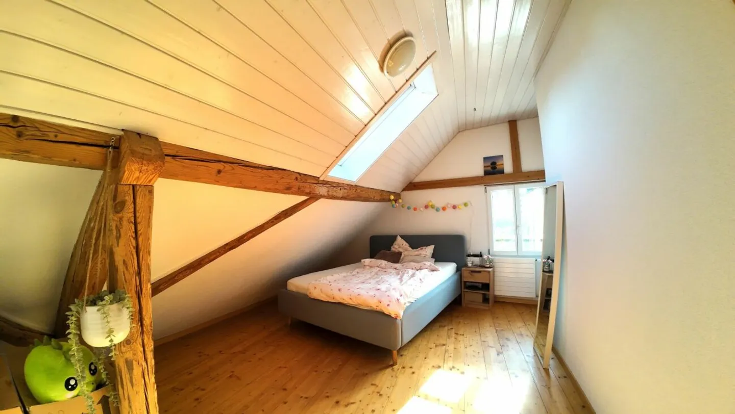 Idyllische 3-Zimmer Dachwohnung - Photo 5 sur 12