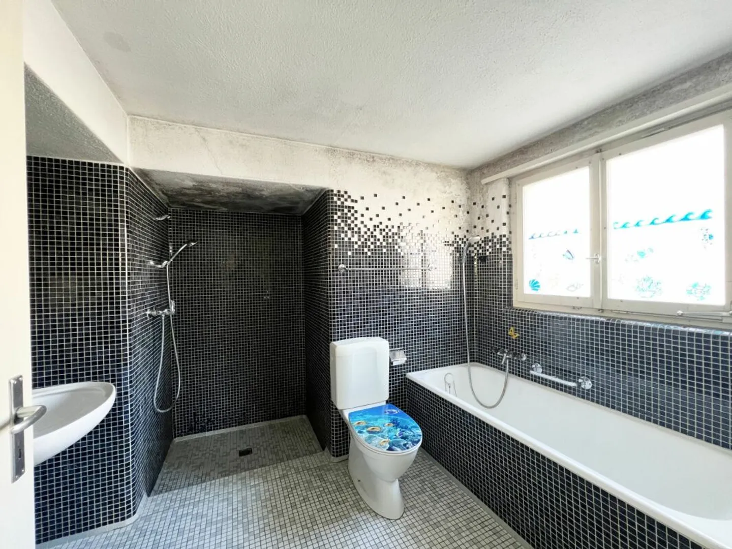 Ehemaliges Bauernhaus mit Scheune, Schopf, grossem Grundstück und viel Potential - Foto 5 di 10