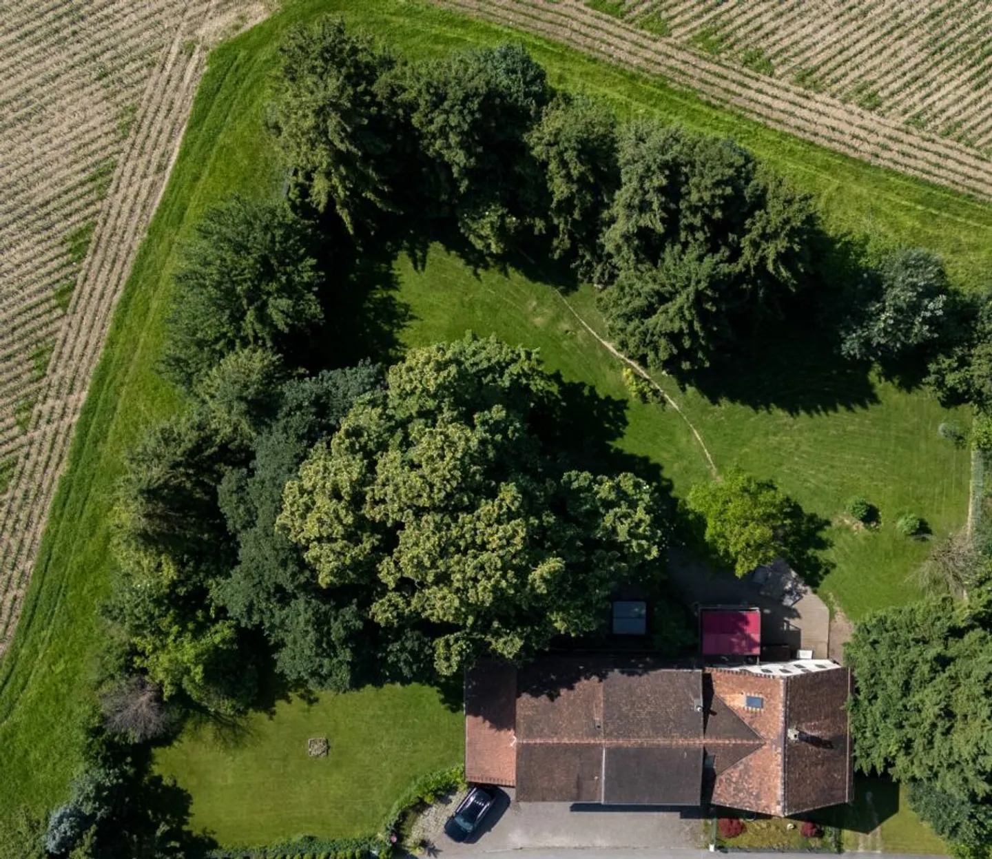 Unique 6.5-Room Country House with Apartment and Commercial Spaces - Photo 13 of 13