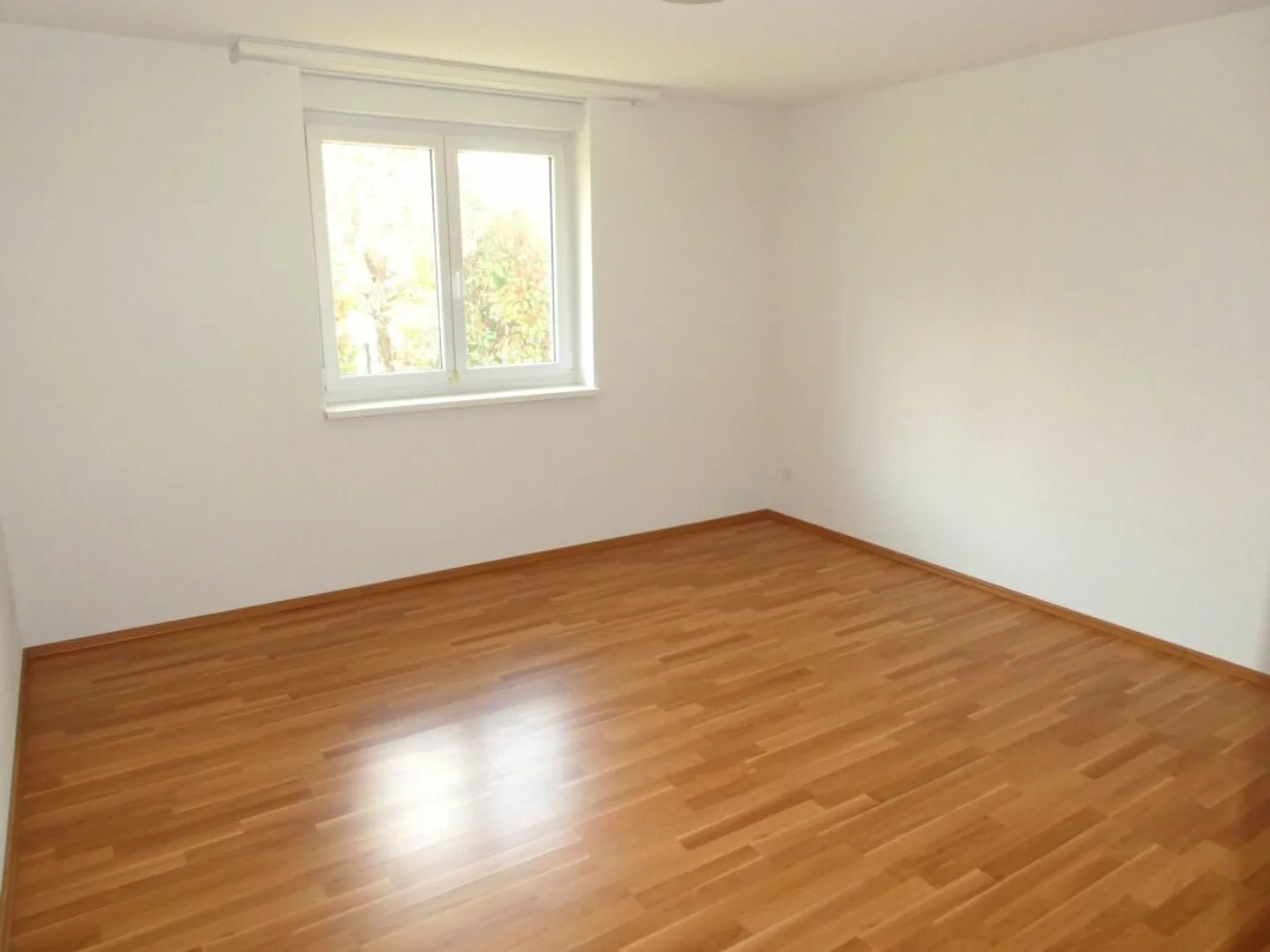 Detached 4 1/2 room bungalow with winter garden in a sunny, central location - Photo 13 of 13