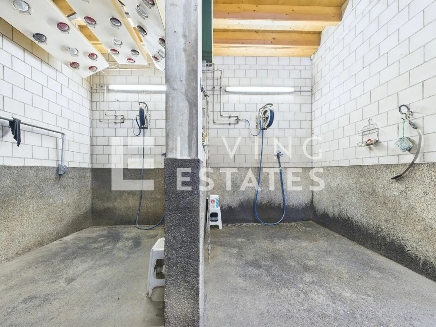 LEBEN MIT PFERDEN - EIN ANWESEN DER EXTRAKLASSE - Foto 12 von 13