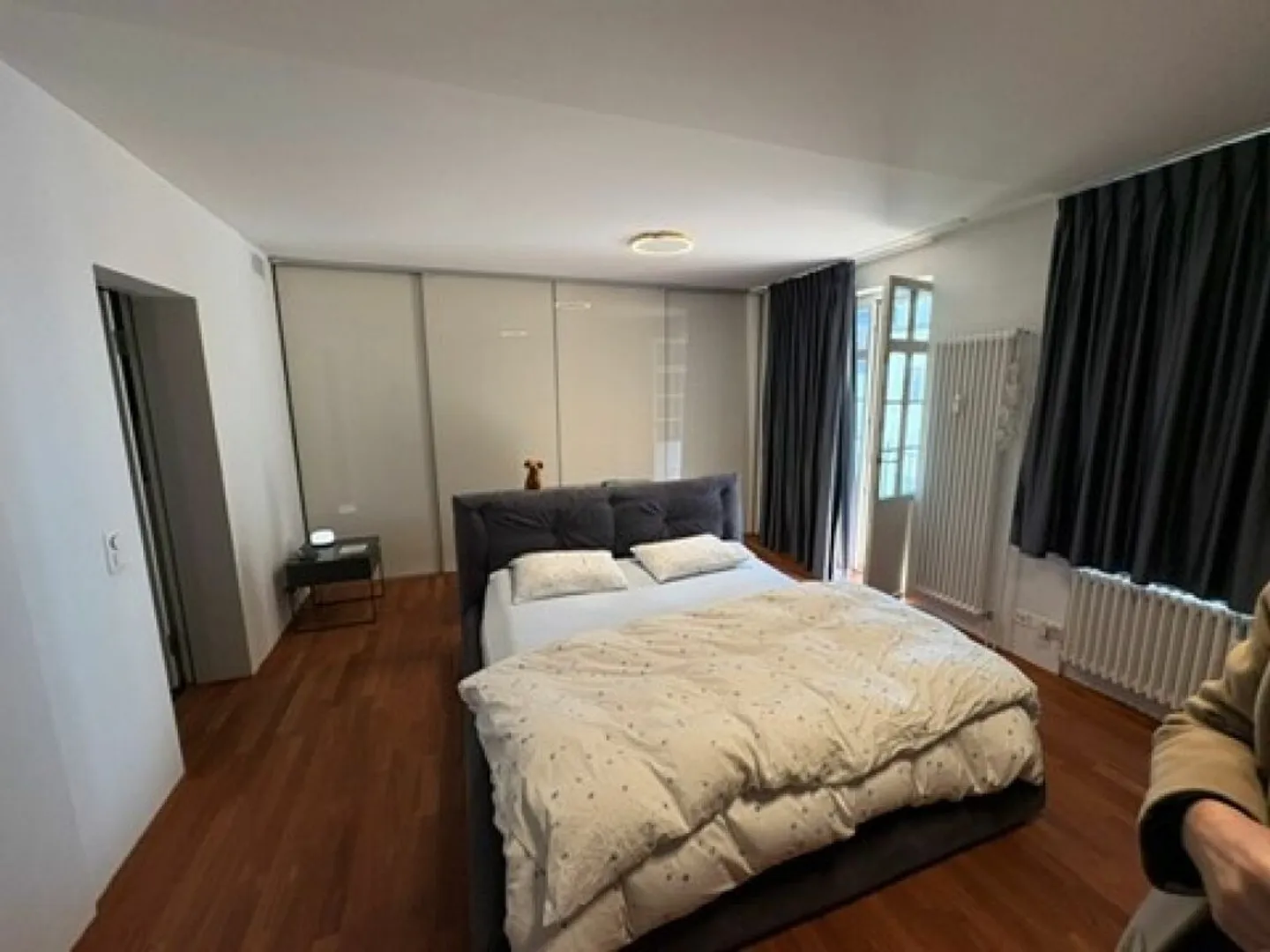 Modern loft apartment in a historic building in the heart of Zurich Enge - Photo 4 of 11