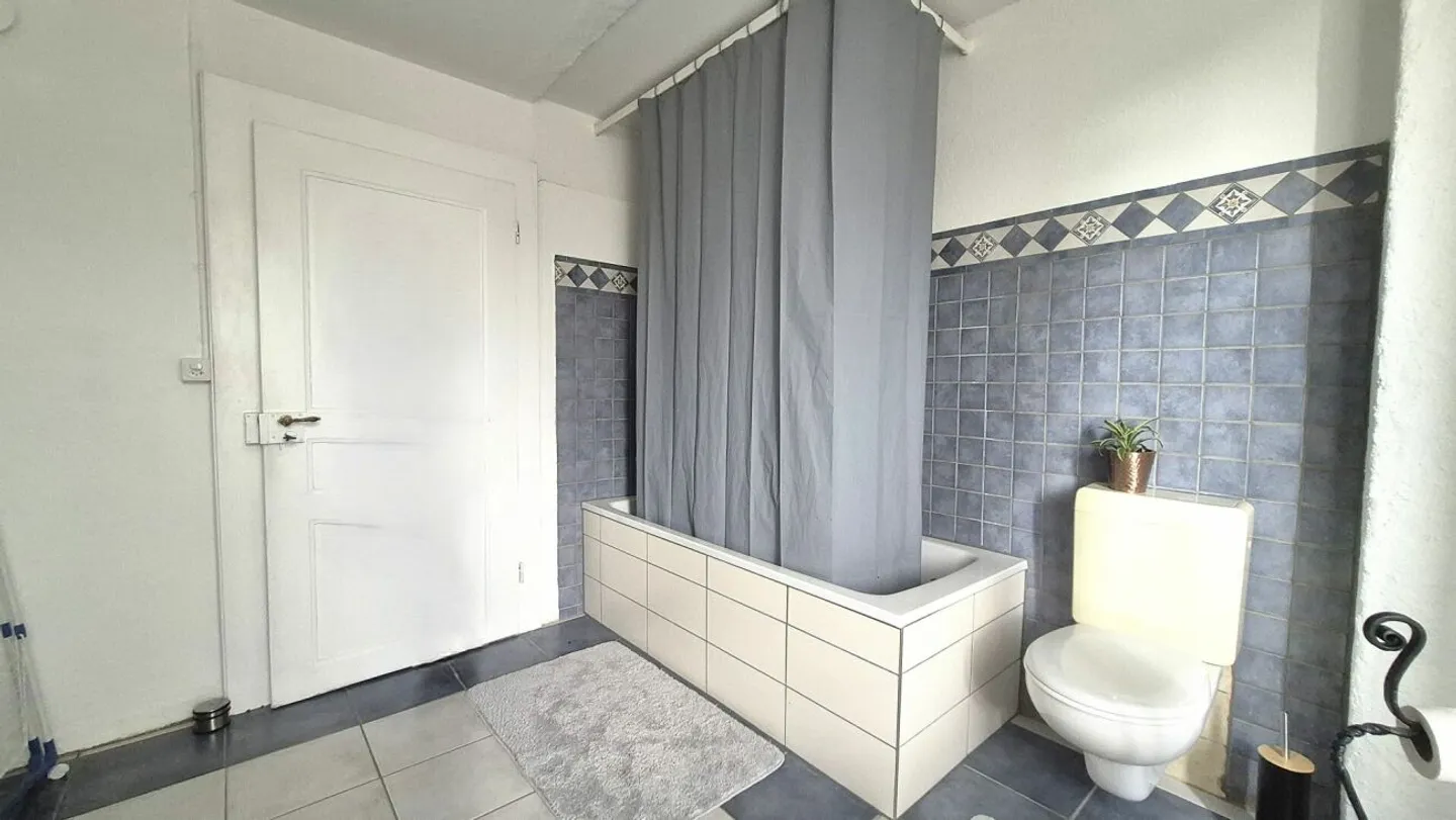 Appartement Charmant avec Jardin - Photo 6 sur 7