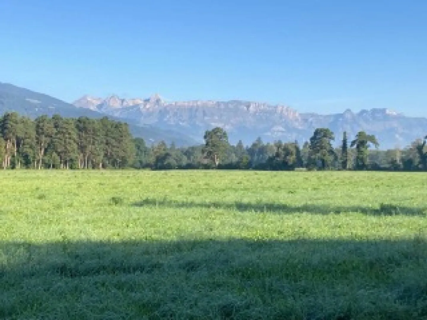 Gepflegte Liegenschaft mit einer top Rendite (10.7%) und Bergsicht - Foto 11 von 13