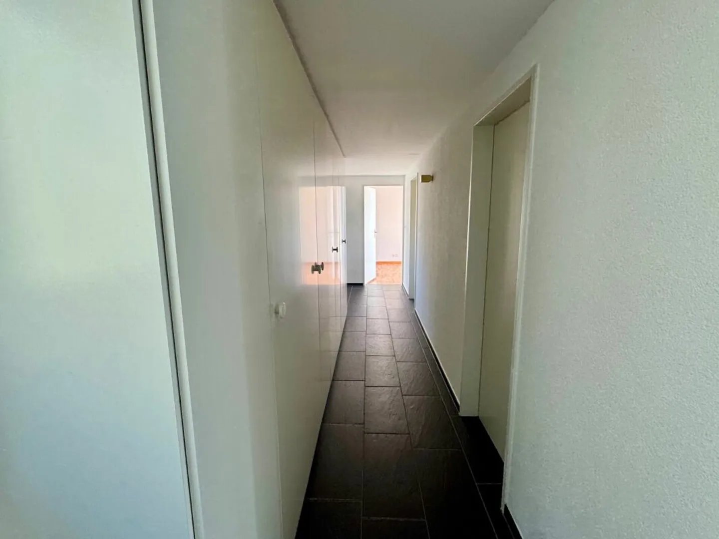 Natura, Pace e Sole - Vivere sull'Üetliberg con una Terrazza Imponente - Foto 12 di 13