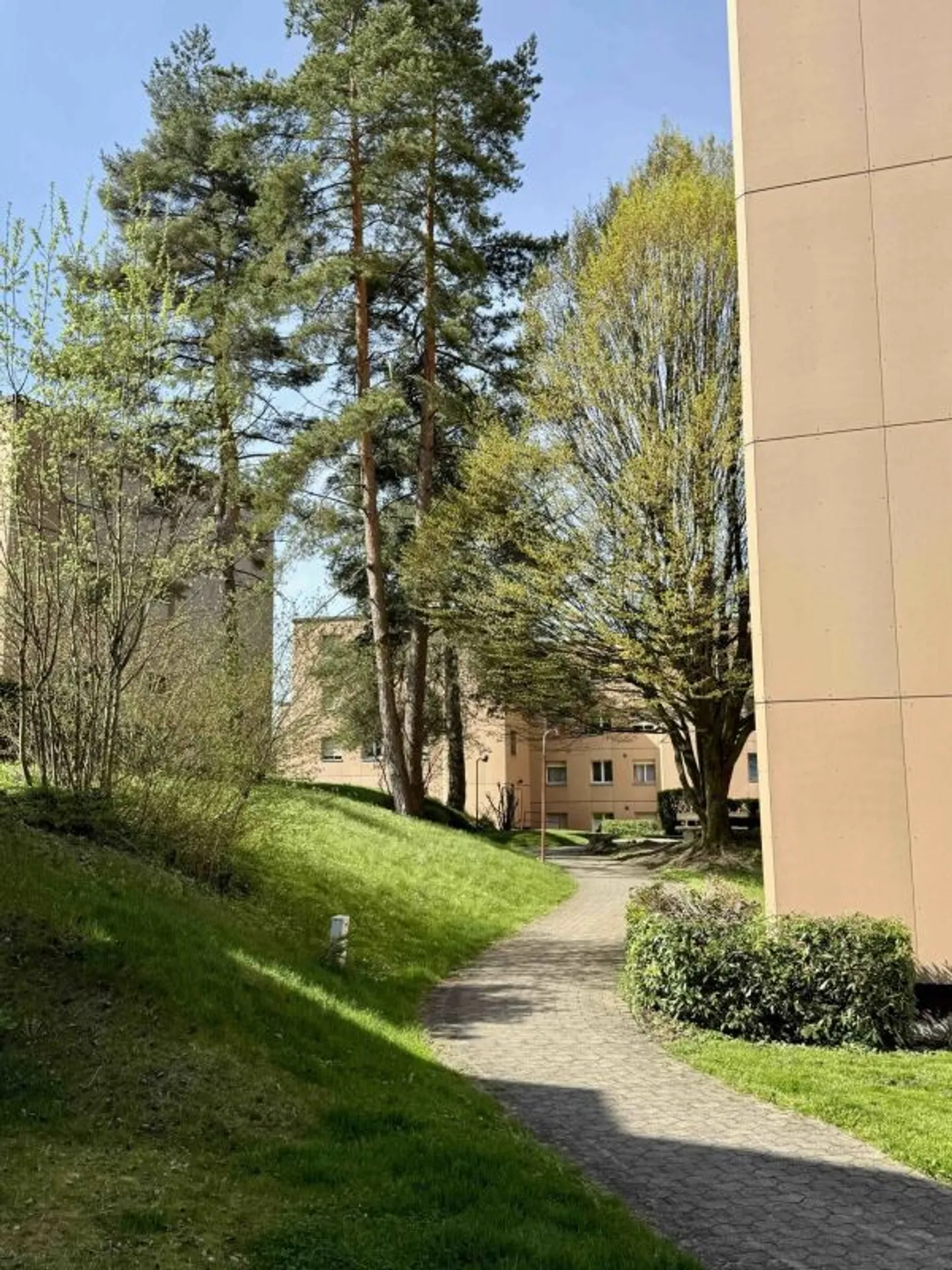 Moderne 3.5-Zimmerwohnung - Foto 11 von 11