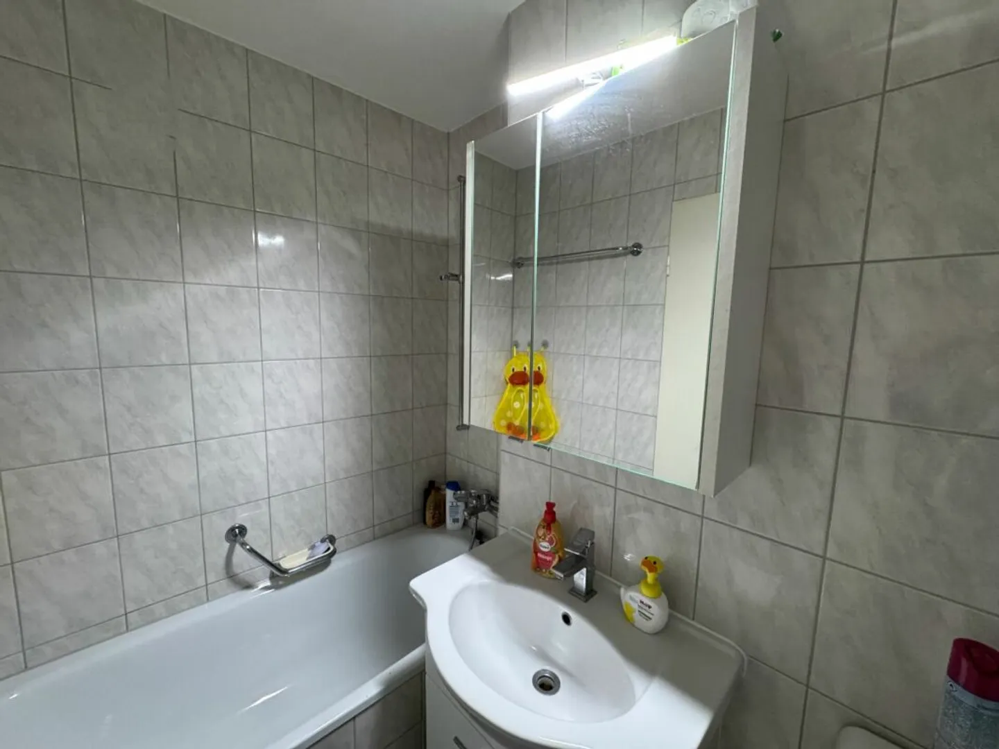 Wohnen mit Aussicht helle 3.5-Zimmerwohnung in Augst - Photo 8 of 9