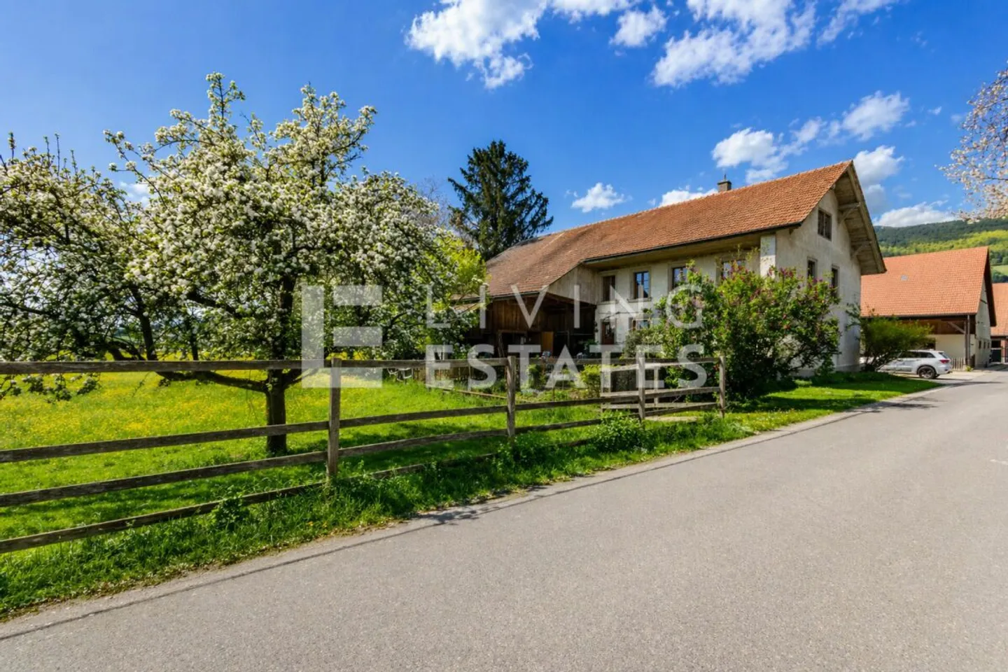 LUXURY FOR HUMAN & HORSE - UNIQUE IN ITS KIND - Photo 12 of 13