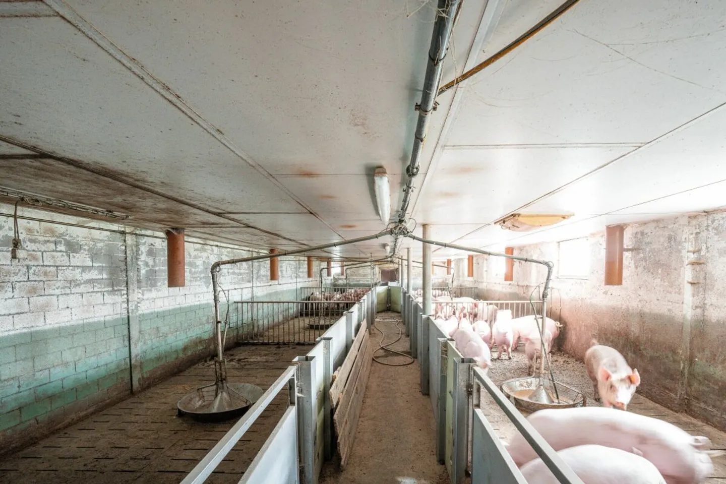 Wohn- und Geschäftshaus mit Nebenbauten - Foto 9 von 11