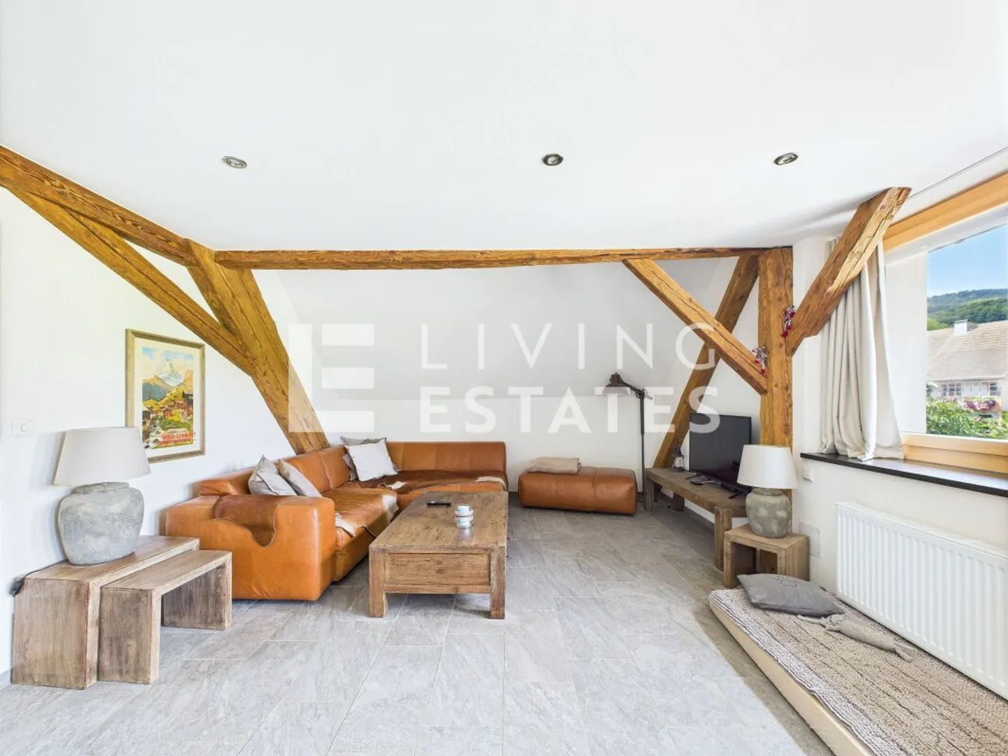 ALPINE CHIC. TOPMODERN. LOTS OF SPACE. - Photo 4 of 11
