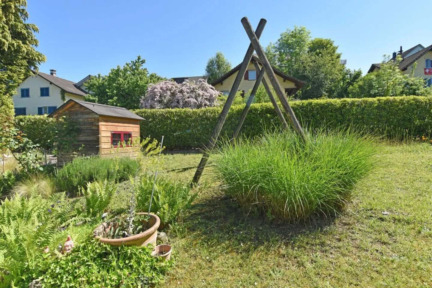 Felicità familiare su un grande terreno, soleggiato, vicino alla natura - Foto 3 di 13