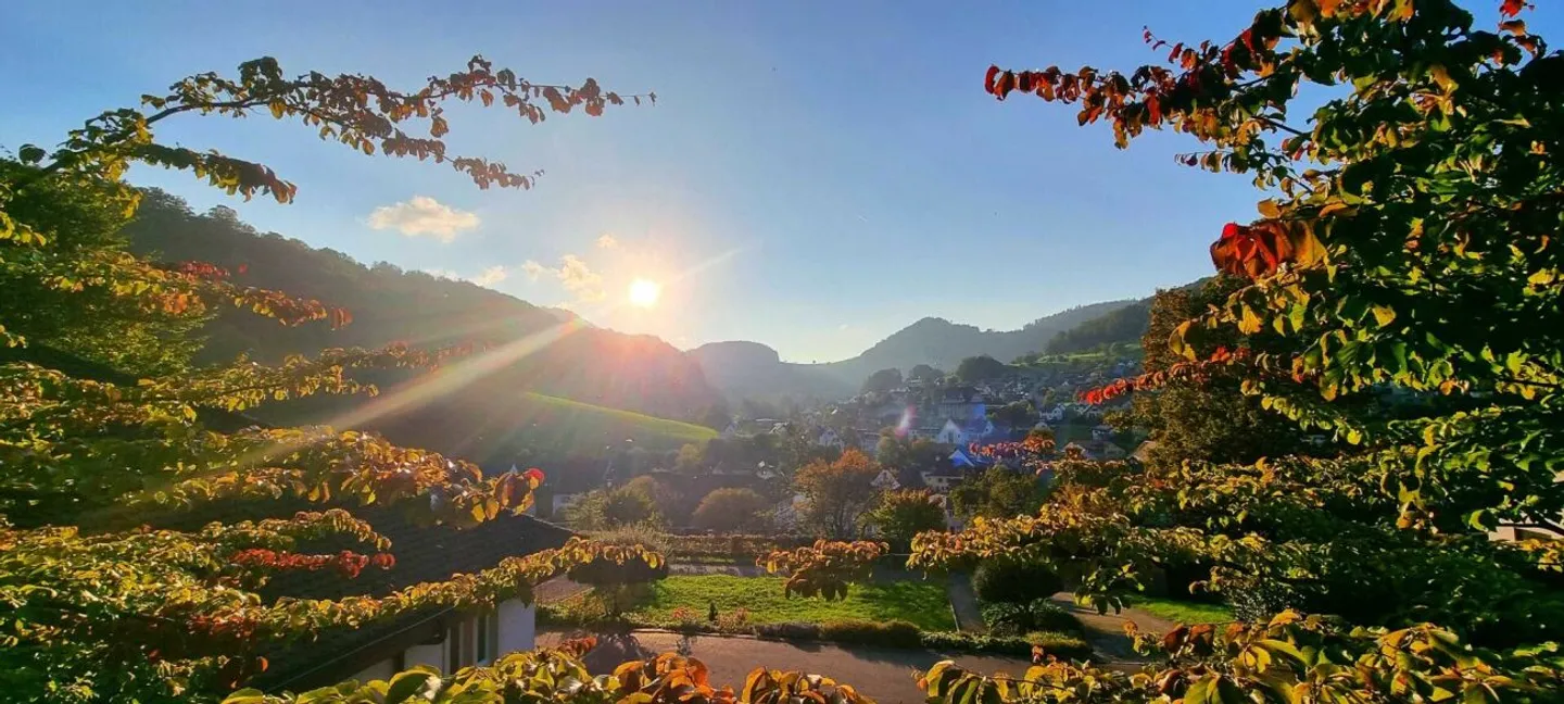 Vuoi vendere la tua proprietà o il tuo terreno? - Foto 11 di 11