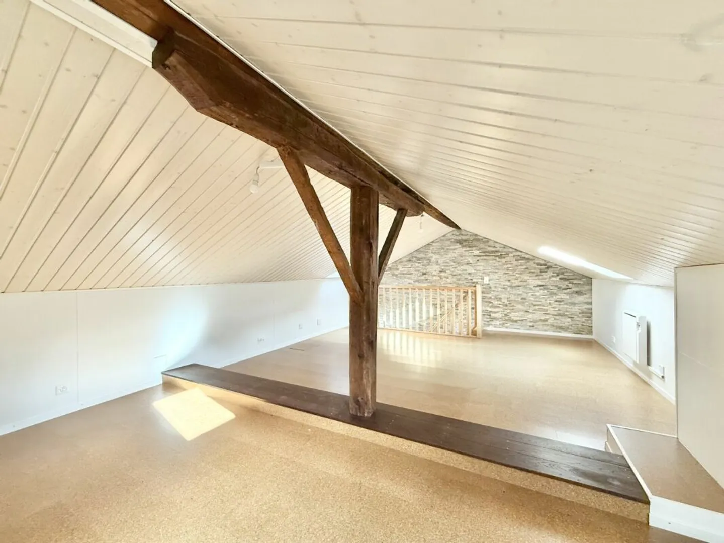 House with 2 apartments in Fully - Photo 12 of 13