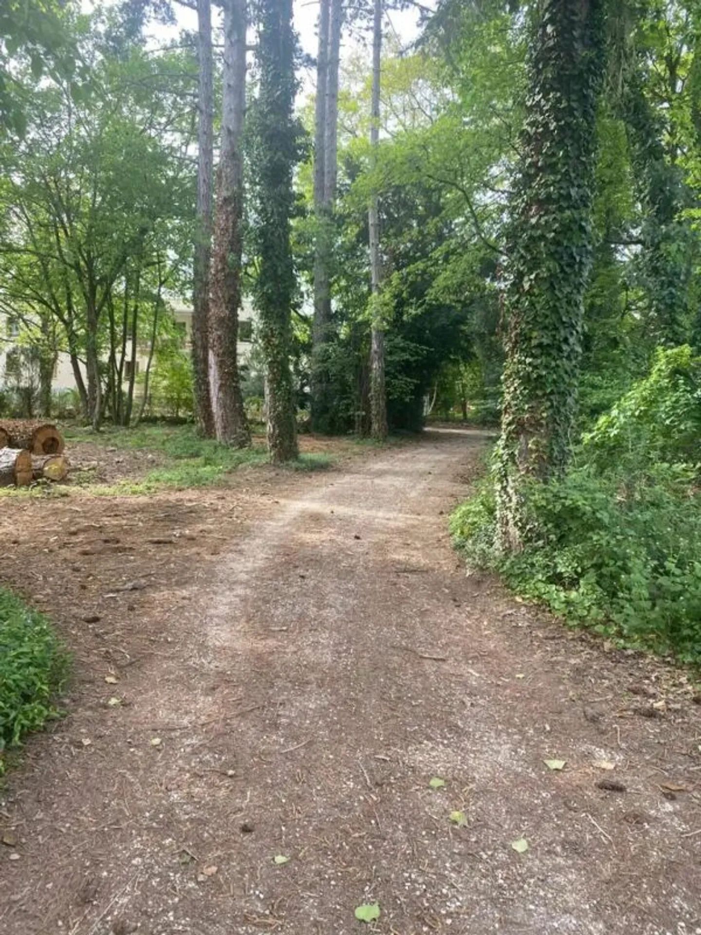 Exklusives Bauland in bester Lage in Onex - Foto 2 von 6