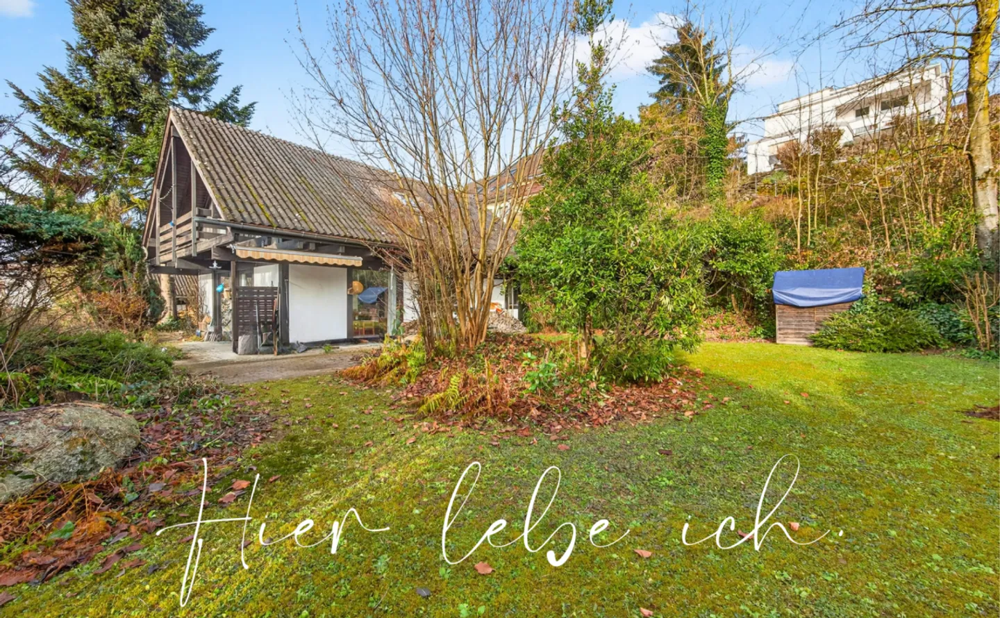 CHARME - VERT - QUALITÉ DE VIE - Photo 1 sur 13