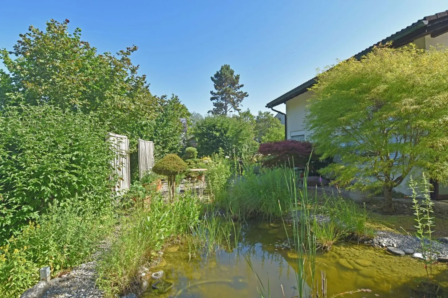 Felicità familiare su un grande terreno, soleggiato, vicino alla natura - Foto 2 di 13