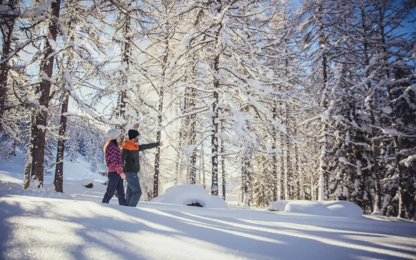 Your Dream Home in the Heart of Goms - New Building Plots in Münster VS - Photo 12 of 13