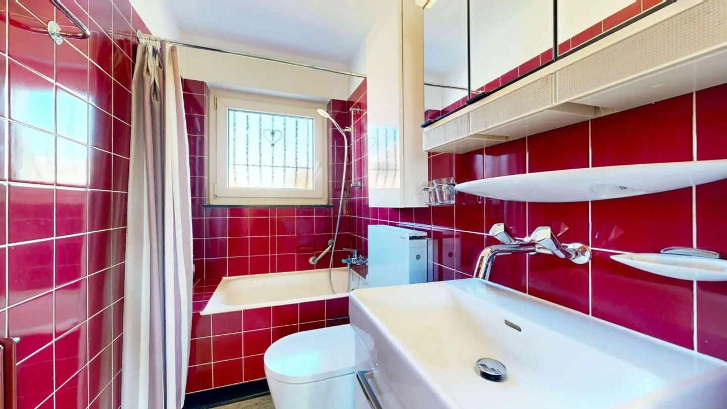 Maison individuelle bien entretenue avec grand jardin, garage et place de parking - Photo 11 sur 13