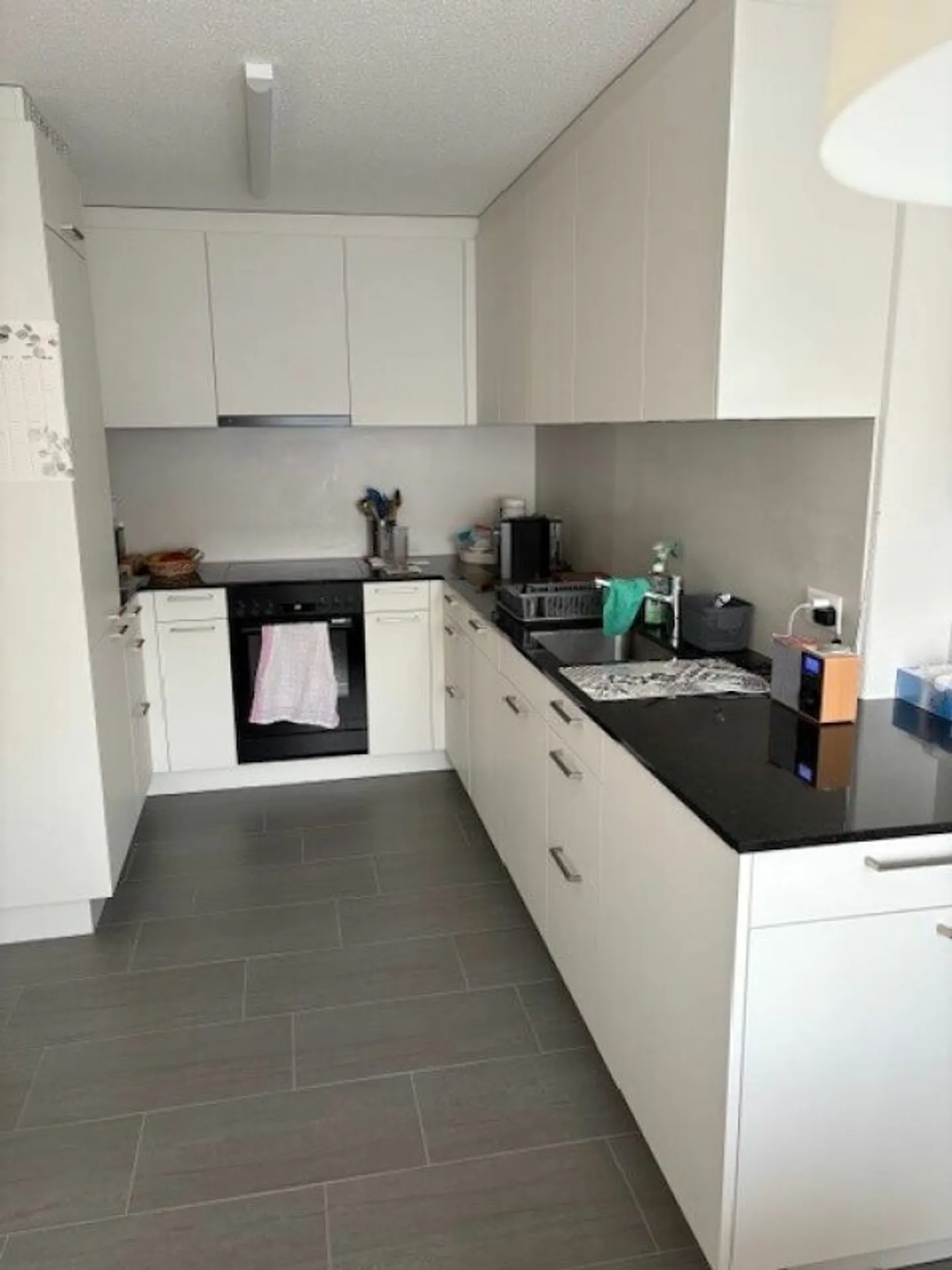 Central with wonderful view of the Pizol copy - Photo 3 of 12