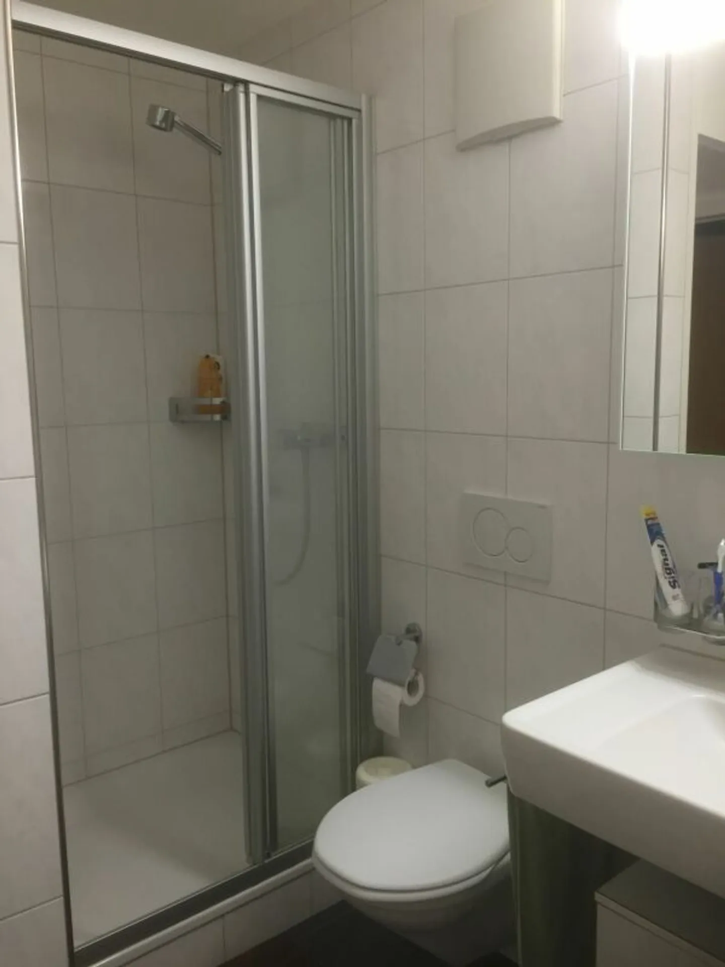 Preiswerte Wohnung in Sargans - Foto 6 von 9