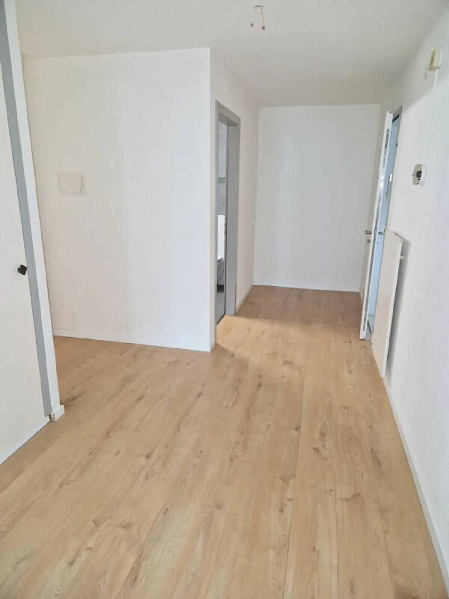 Renovated apartment in an ideal location - Photo 4 of 10