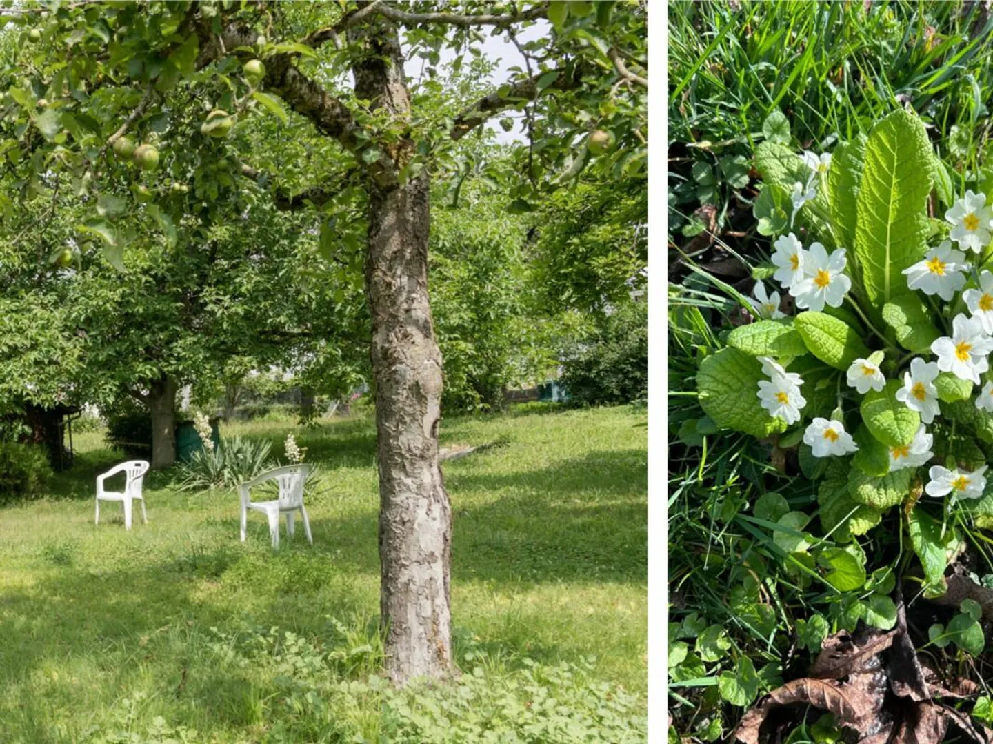 Lumière naturelle et style réunis - Première location dans un bâtiment historique - Photo 13 sur 13
