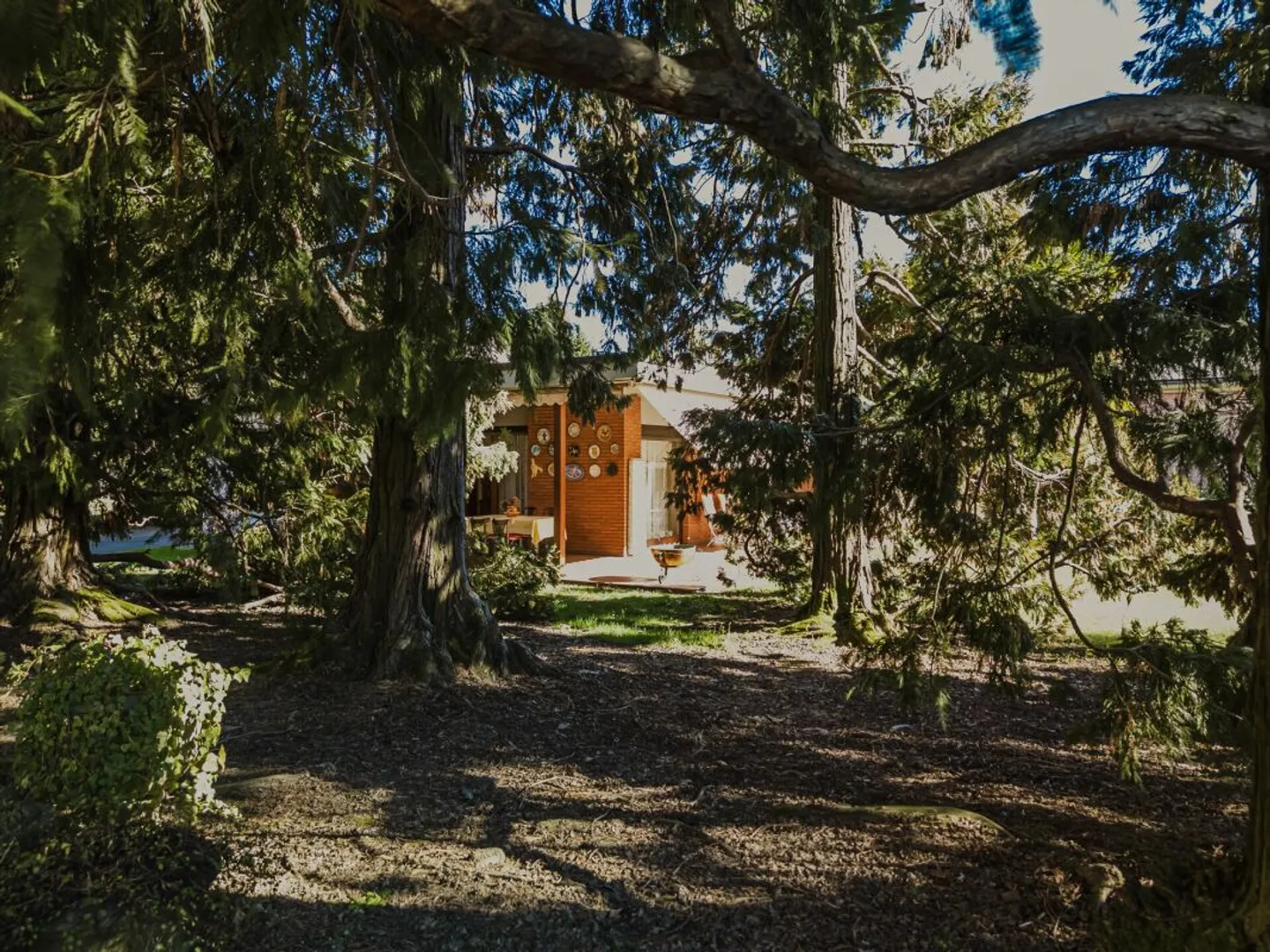 Splendida villa signorile immersa nel verde del proprio parco - Foto 5 di 13