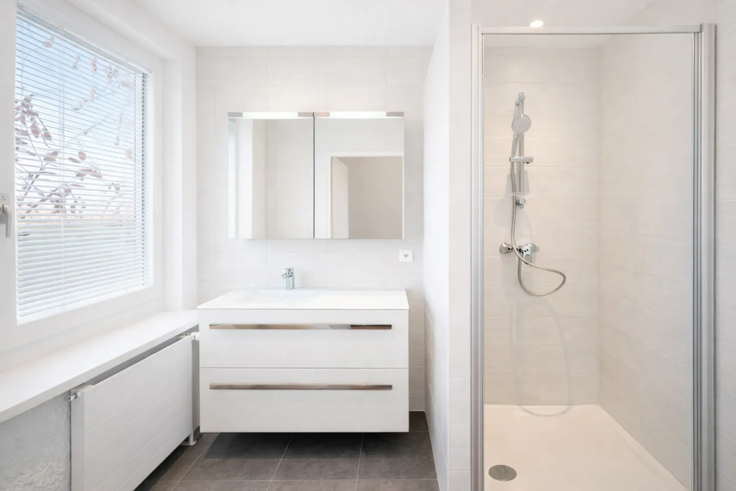 Through Triplex Fully Renovated in 2026 - Functional Layout and Turnkey Condition in Puplinge - Photo 8 of 12