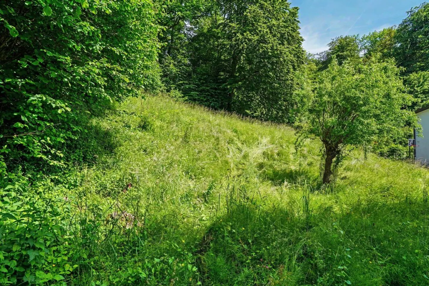 4.5-Zimmer-Gartenwohnung in Oberwil - Photo 11 of 12
