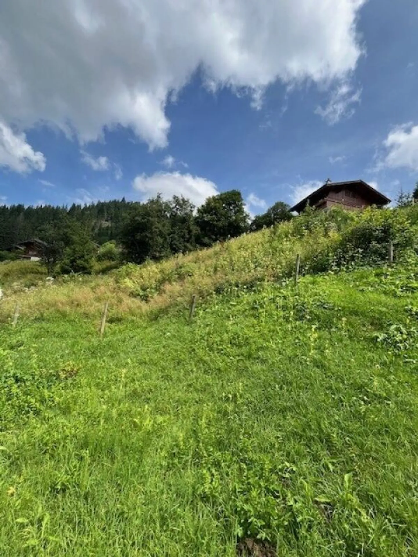 Terreno edificabile completamente sviluppato in posizione elevata a Plaffeien FR - Schwarzsee - Foto 11 di 13