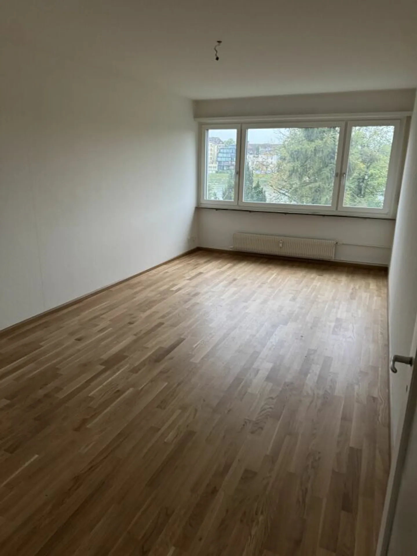 Renovated apartment with new kitchen by the Rhine - Photo 2 of 7