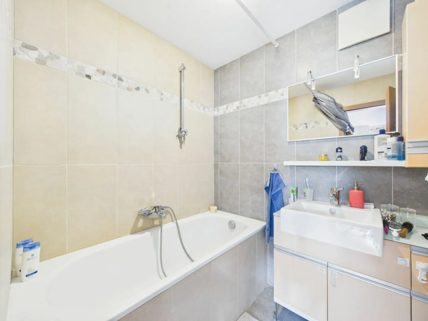 Charming Apartment with Garden - Photo 8 of 13