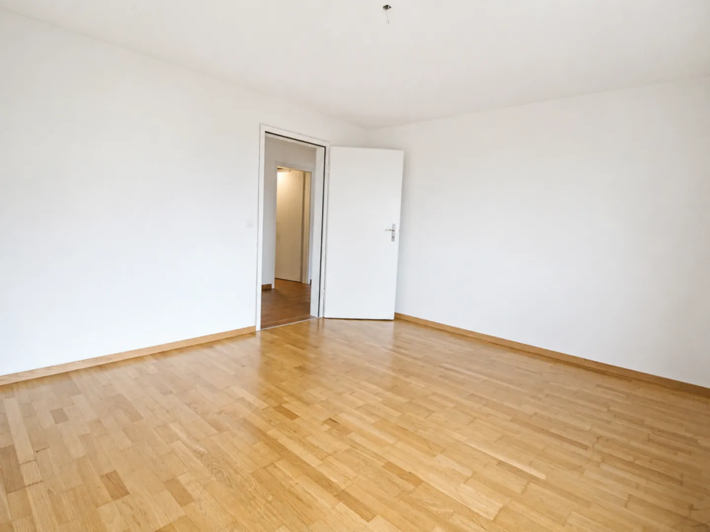 Spacious 5.5-room apartment with fireplace and sunny balcony - Photo 7 of 13