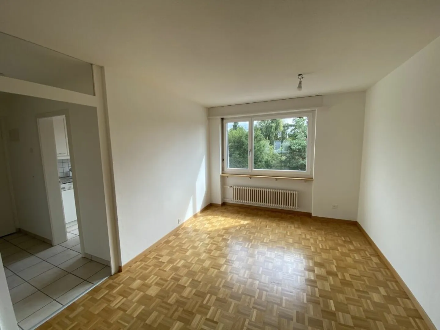 Living in Zelgli - Investment with Yield and Development - Photo 6 of 13