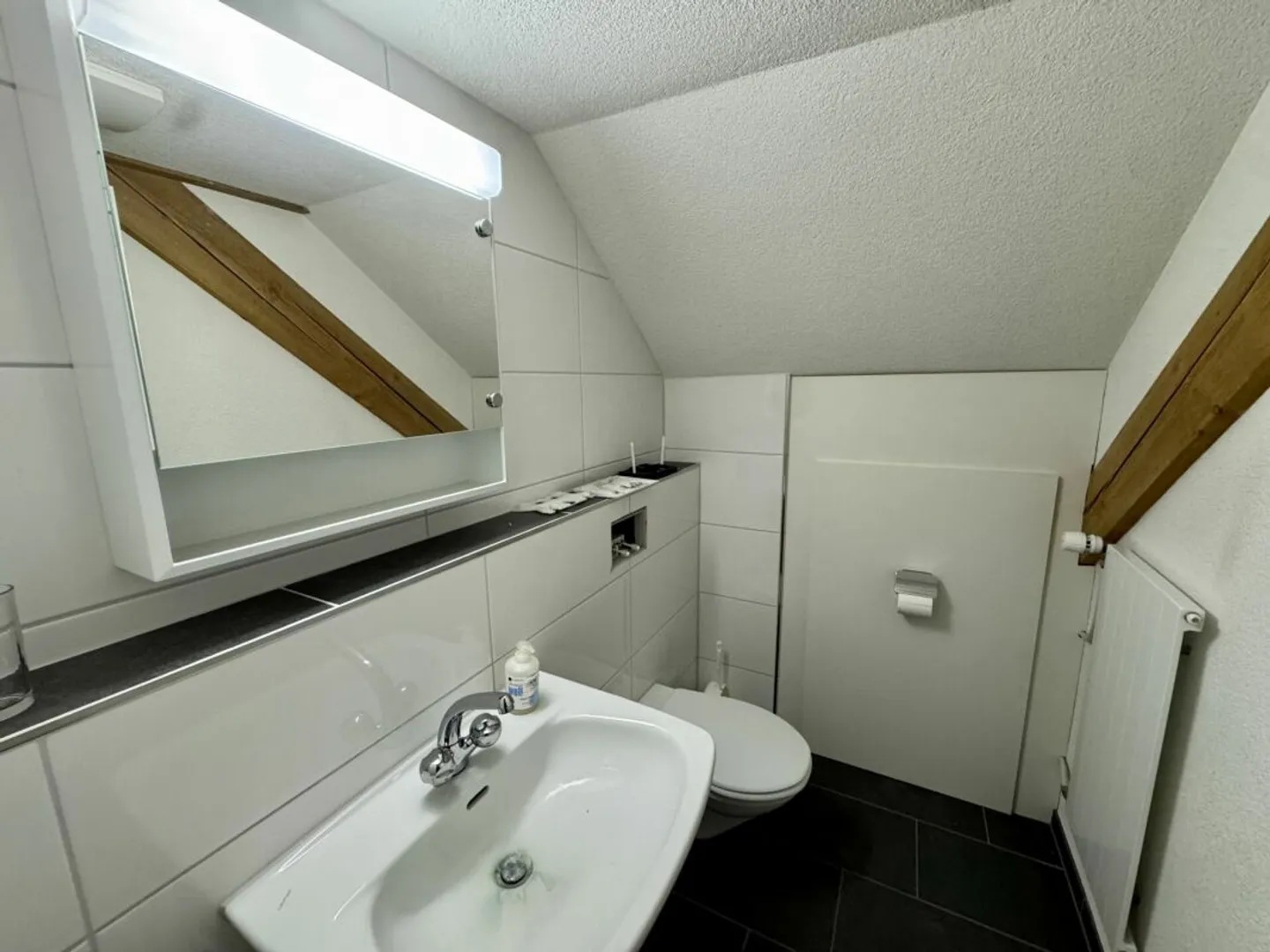 Ufficio attraente ad Augst - Foto 7 di 9