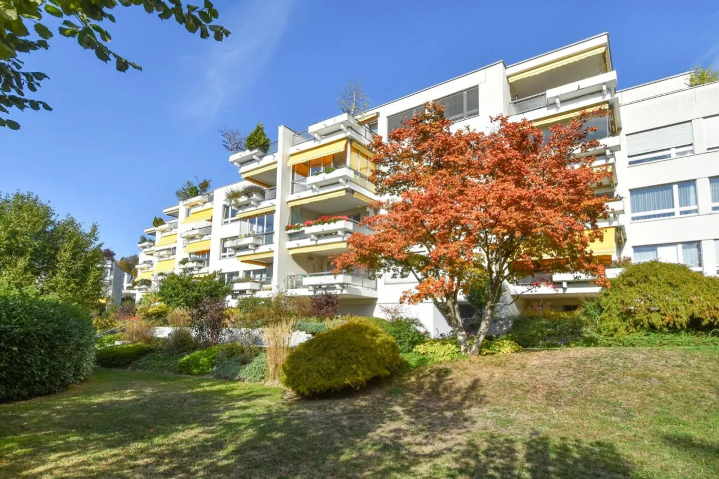 Charmante Wohnung mit Gartenblick - Foto 1 von 10