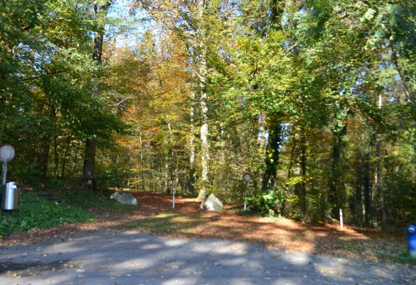 CASA IN ALTO - TRANQUILLA, SOLEGGIATA, VICINA ALLA NATURA: 4,5 STANZE CON BALCONE &amp; VISTA SULLA FORESTA - Foto 3 di 13