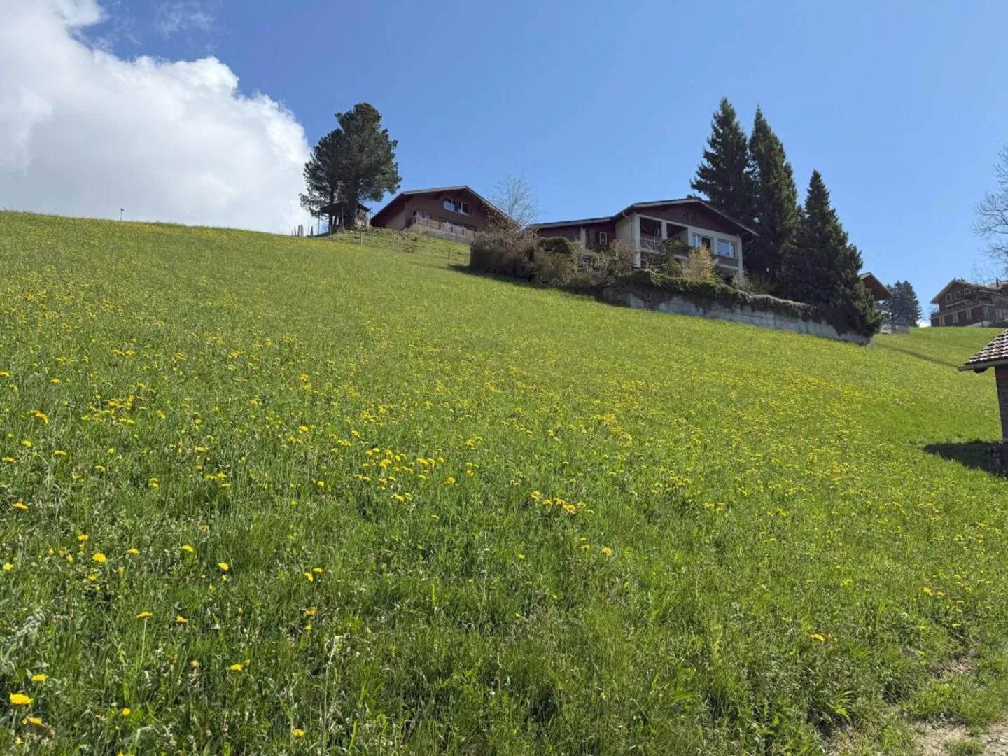 Vista panoramica non ostacolata sul lago di Thun e sulle catene montuose circostanti - Foto 1 di 13