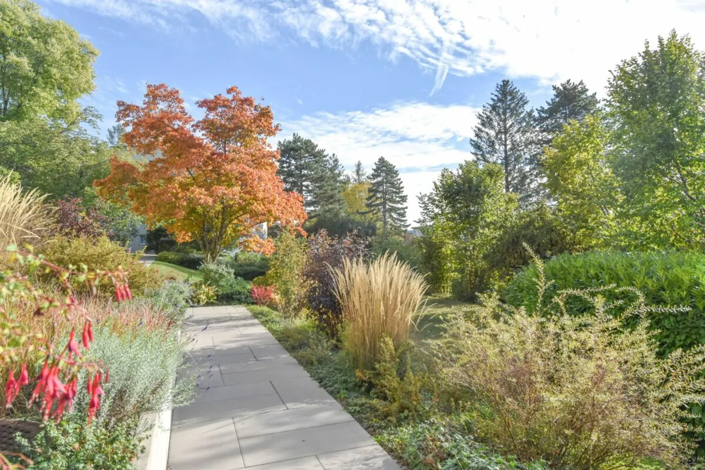 Charmante Wohnung mit Gartenblick - Foto 9 von 10