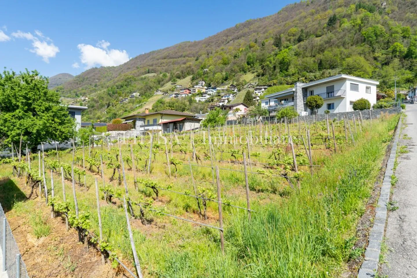 GORDOLA - 4 modern single-family homes with garden in sunny location - Photo 3 of 5