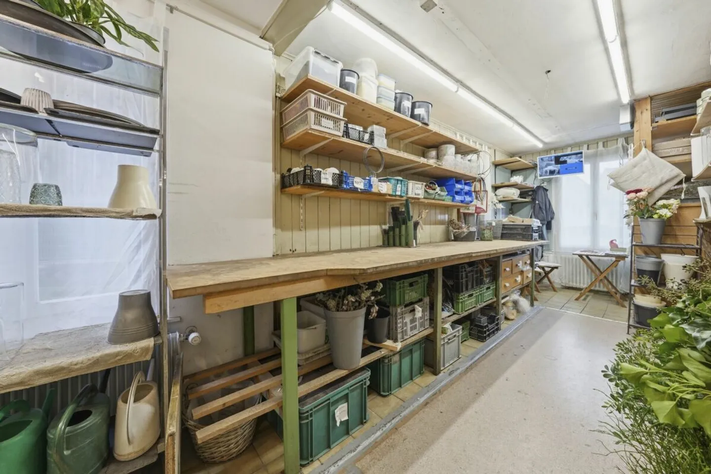 Commercial & Residential combined - ideal capital investment or owner-occupation - Photo 6 of 13