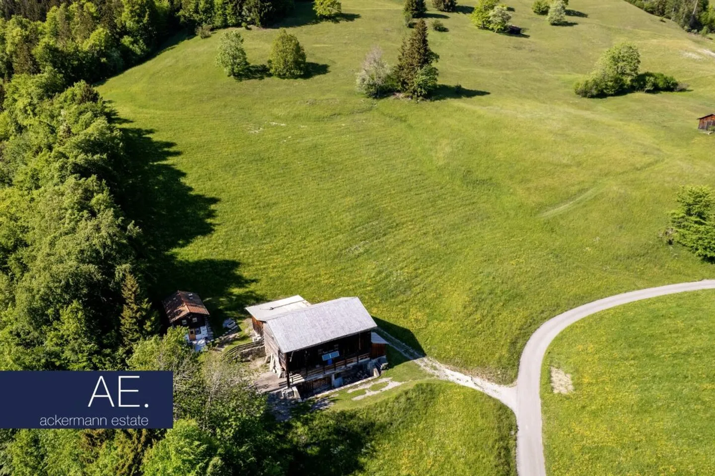 Alpine Cabin in the Midst of Vast Mountain Meadows - Photo 5 of 11