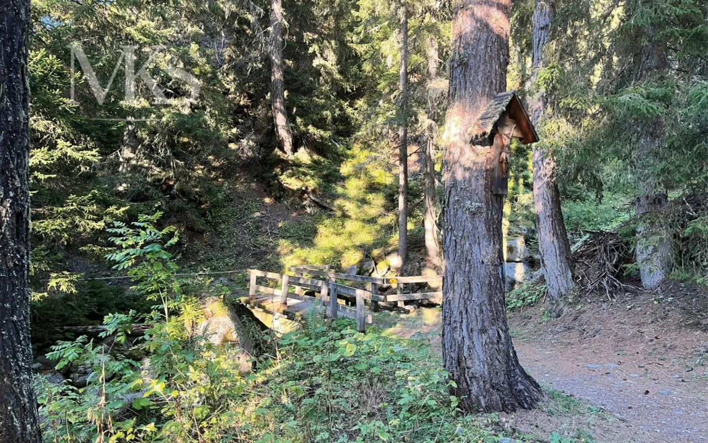 Bagno di foresta nella tua baita di montagna a Goms - Foto 11 di 13