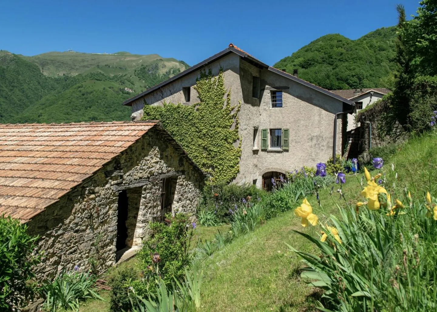 LEBENSTRAUM TESSIN - Charming renovated village house with large studio ideal for art & culture and B&B - Photo 3 of 13
