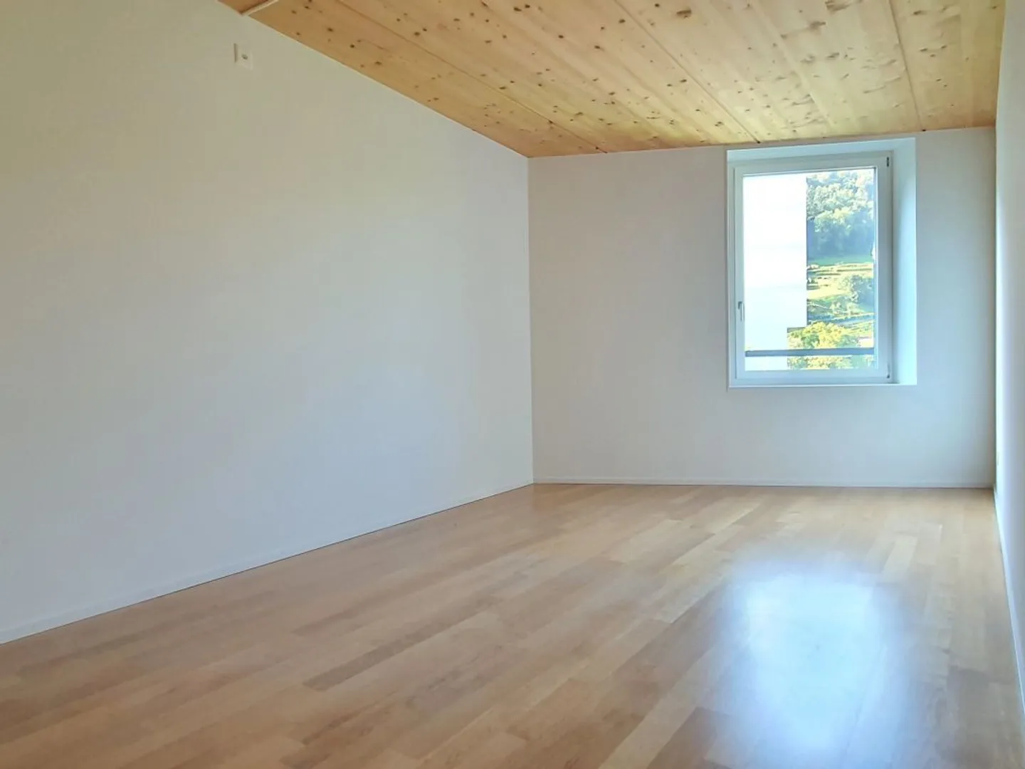 Assisted Living: Modern 3.5-Room Apartment with Modern Finish and Beautiful Balcony - Photo 5 of 9