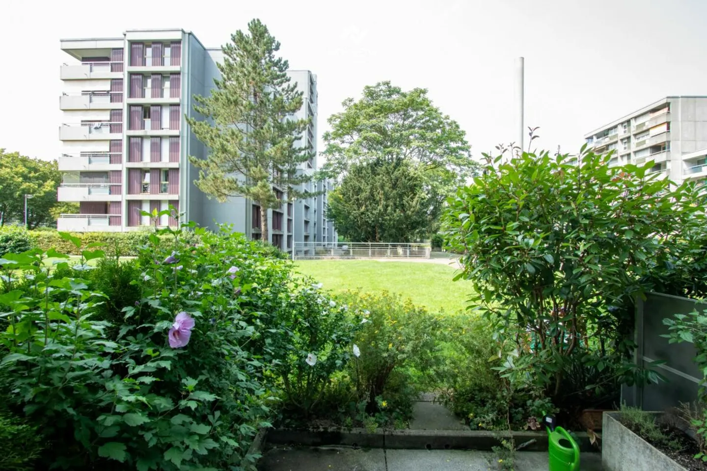 Appartamento attraente di 3,5 stanze con posto auto - Foto 3 di 13